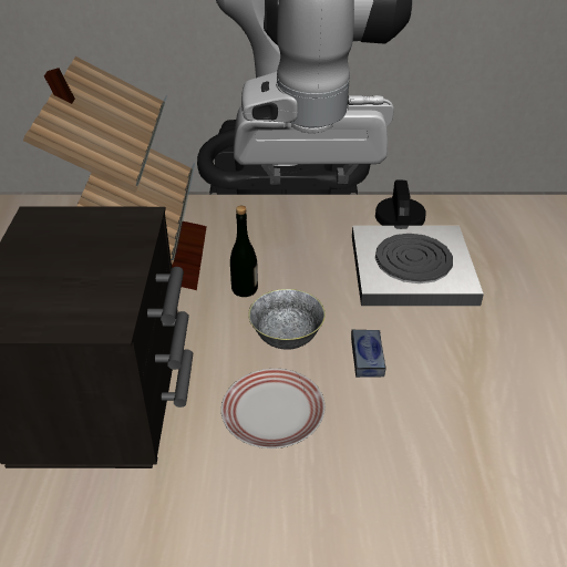 Sampled new-task observation.
